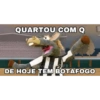 Cavalinho do Botafogo 20