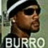 BURRO