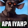 Selamat 12