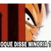 OQUE DISSE MINORIA?
