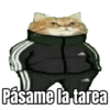 Memes pa’ Estudiantes 📚😈 10