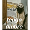 Teamo 16