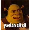 yaelah cil cil VAAT