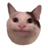 Gatitos #1 11