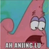 AH ANJING LU