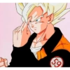 Goku 13