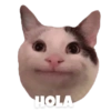 Gatitos #1 12