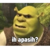 ih apasih?