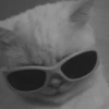 Low quality cat 10
