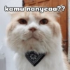 kamu nanyeaa??