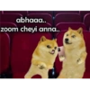 abhaaa.. zoom cheyi anna..