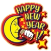 New Moon Wishes   7