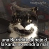 Paraguayita
una Barridita debajo d
la kama no vendría mal