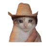 Gatitos #1 8