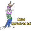 Looney Tunes 11