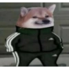 Cheems2.exe @sumit 3