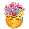 Emoji_tiktok 15