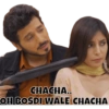 MIRZAPUR 7