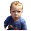 Gavin 13
