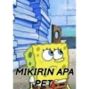 MIKIRIN APA
PET