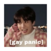[gay panic]