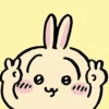 Usagi chiikawa 🐰 12