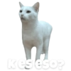 Gatitos #1 16