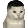 Memes 42 29