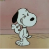 Snoopy  23