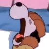 🦴🏠 SNOOPY 🏠🦴 22