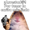 💞🐹Hamstercitos De Amor🐹💞 14
