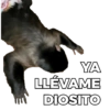 YA LLÉVAME DIOSITO
