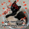 Que tengas un sueño muy bonito