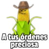 🥳Memes Party 5🎊 29