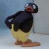 Pingu 🐧 22