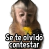 Changuitos Stickers🐒🍌 5