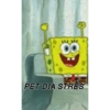 Mem
PET DIA STRES