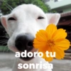 adoro tu
sonrisa