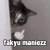 Cutie cat 8