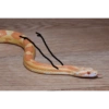 Funny snakes 6