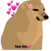 tea mo