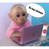 Changuitos pa' comentar 20