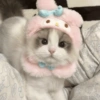 Gatos Cute 🤩😍 6