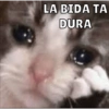 LA BIDA TA
DURA