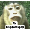 Changuitos pa' comentar 6