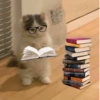 Reações de Leitura 📖 7