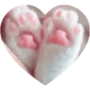 Love Kitten 🐾🐱 10