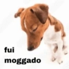 REAÇÕES DO TWITTER 13