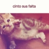 cinto sua falta