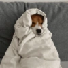 MOOD FIM DE SEMANA 14
